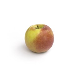 Pomme breaburn Bio