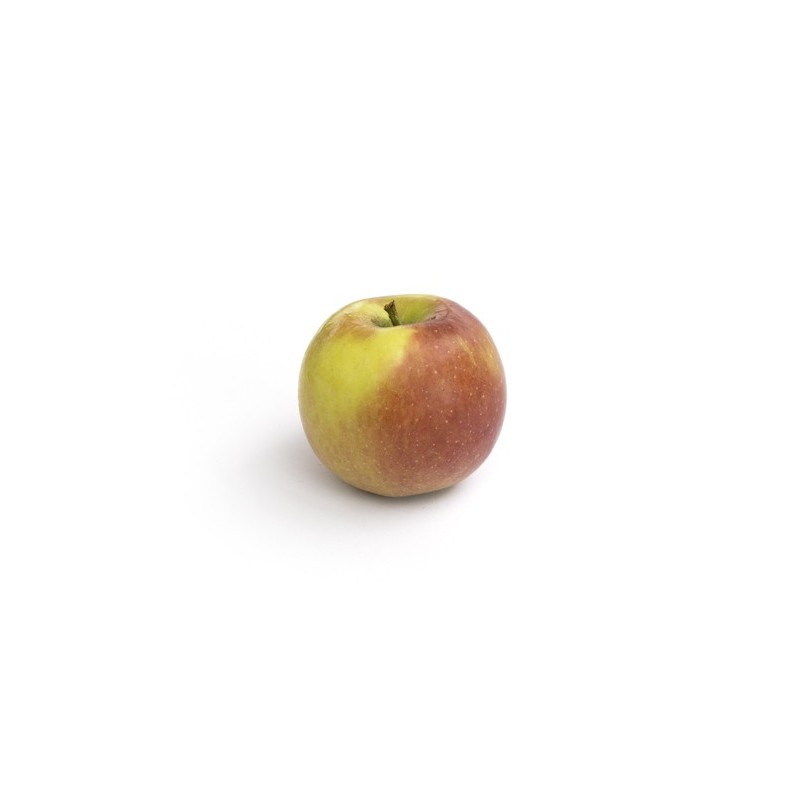 Pomme breaburn Bio