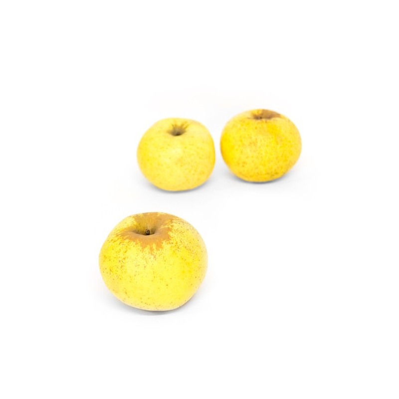 Pomme Goldrush bio