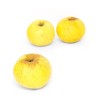 Pomme Goldrush bio