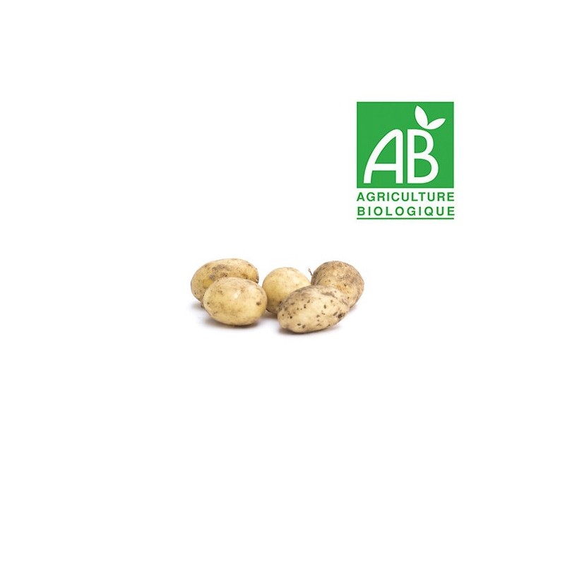 Pommes de terre nouvelle bio
