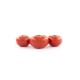 Tomate ronde bio