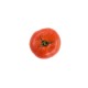 Tomate ronde bio