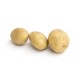 Pomme de terre grenaille nouvelle Bio