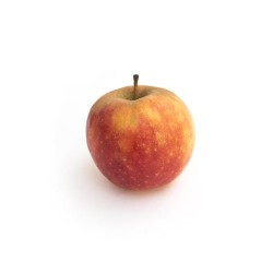 Pomme Ariane en conversion bio