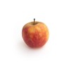 Pomme Ariane en conversion bio