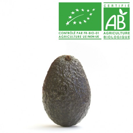 Avocat cal.18 Bio 