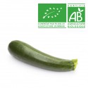 Courgette longue Bio