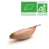 Echalotes bio