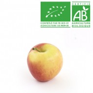 Pomme Jazz bio