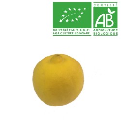 Citron Bergamote Bio