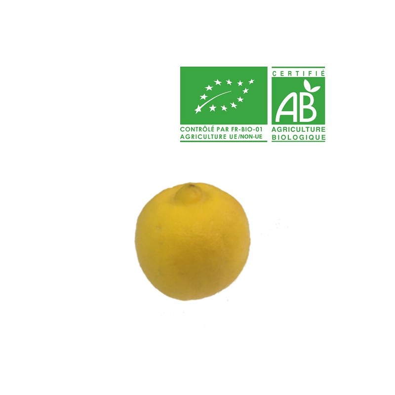 Citron Bergamote Bio