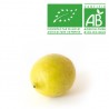 Citron jaune Verna bio