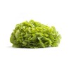 Salades feuille de chêne verte bio