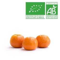 Mandarine bio