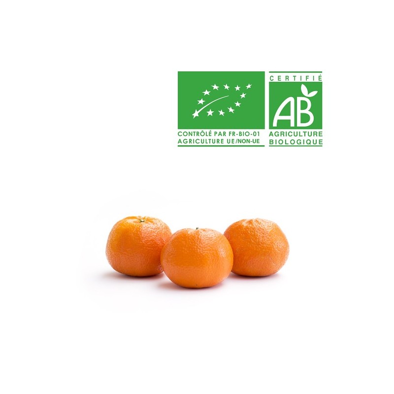 Mandarine bio