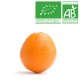 Orange de table Bio