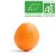 Orange de table Bio