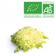 Salade frisée bio