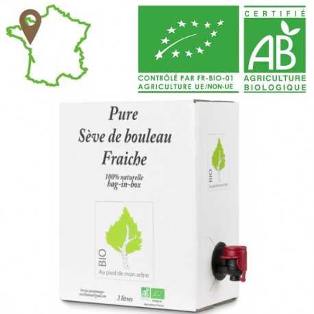 Sève de Bouleau bio