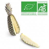 Ananas Pain de sucre  bio