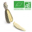 Ananas Pain de sucre  bio