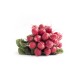 Radis rouge bio