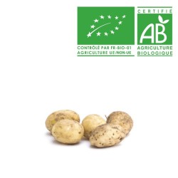 Pommes de terre nouvelle Bio