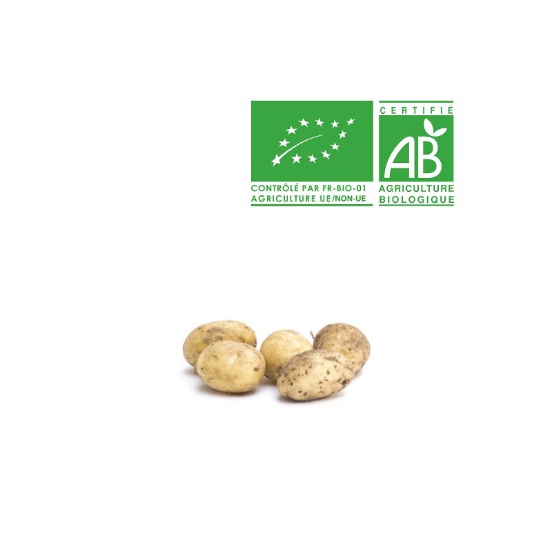 Pommes de terre nouvelle Bio