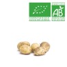Pommes de terre nouvelle Bio