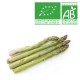 Asperge verte longue bio