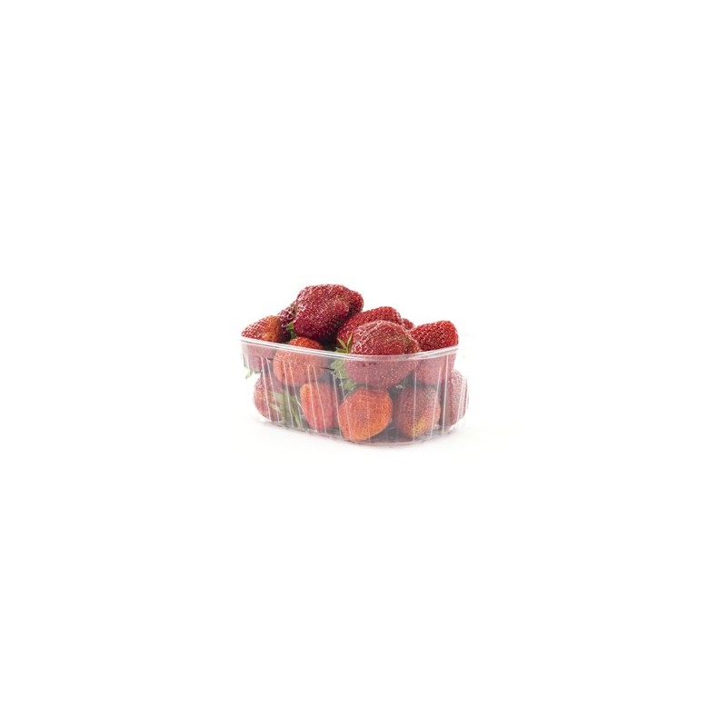Fraises ronde bio