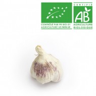 Ail blanc bio