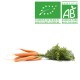 Carotte botte bio