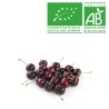 Cerises folfer bio