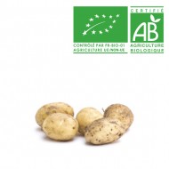 Pomme de terre nouvelle de NOIRMOUTIER Bio