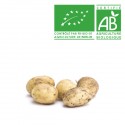 Pomme de terre nouvelle de NOIRMOUTIER Bio