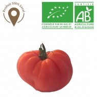 Tomate Côtelée Bio