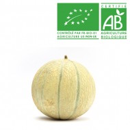 Melon Bio cal.11