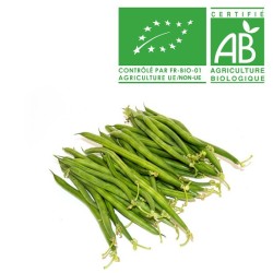 Haricot vert Bio