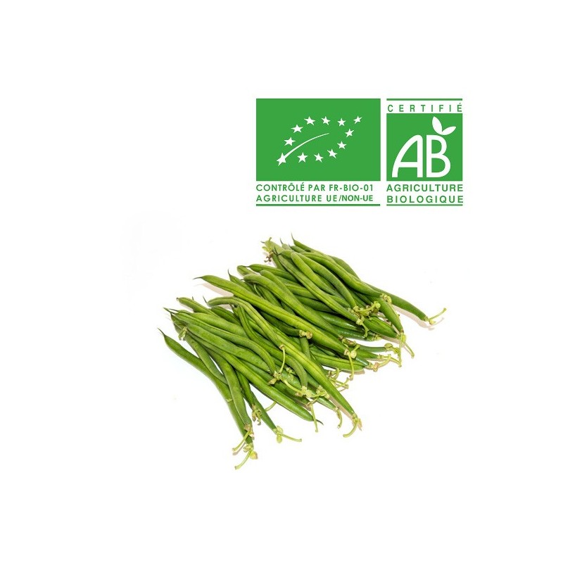 Haricot vert Bio Haricot vert Bio