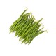 Haricot vert main Bio