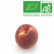 Pêche blanche bio