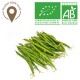 Haricot vert bio