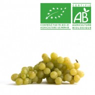 Raisin Italia Bio