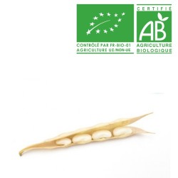 Haricot à écosser bio
