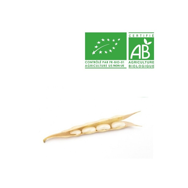Haricot à écosser bio