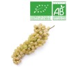 Raisin Chasselas bio