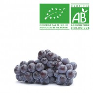 Raisin Muscat bio