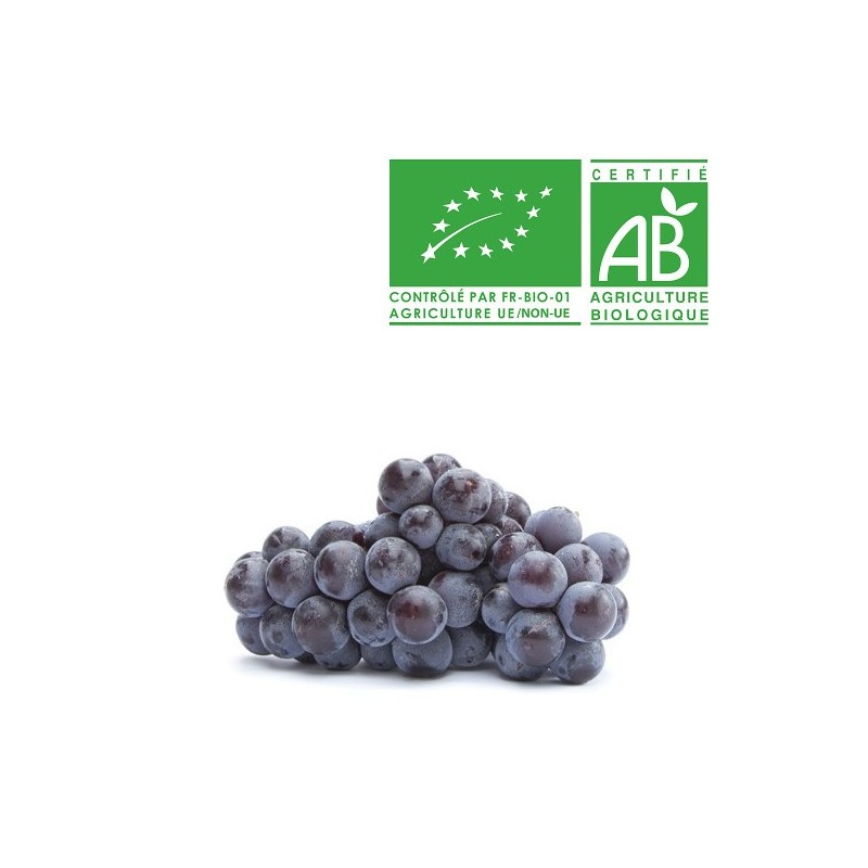 Raisin Muscat bio Raisin Muscat bio